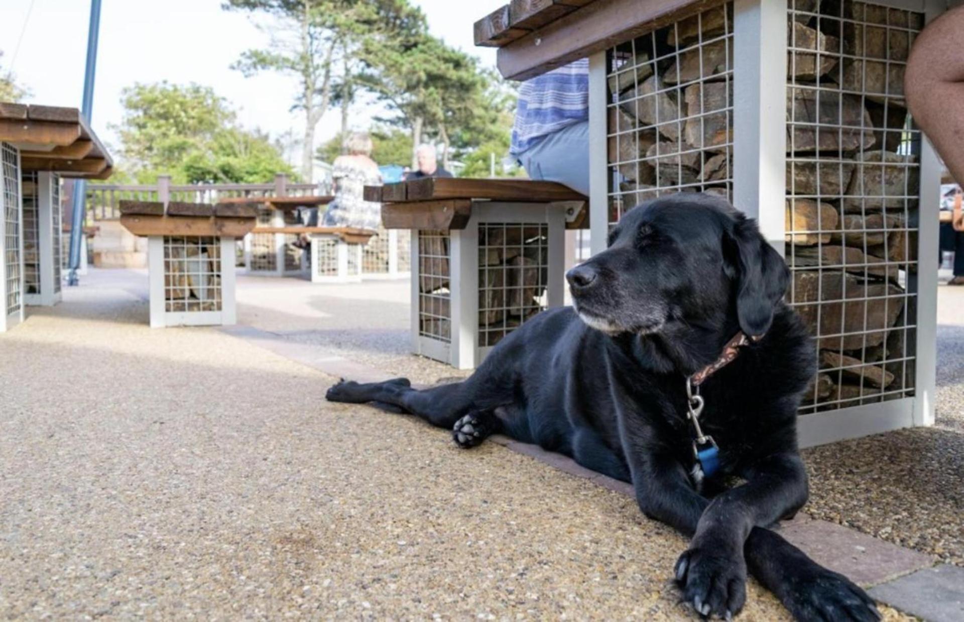 Newquay Bay Resort Sandy Toes - Pet Friendly 외부 사진